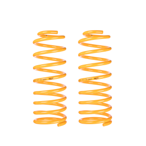 RAISED REAR KING COIL SPRINGS